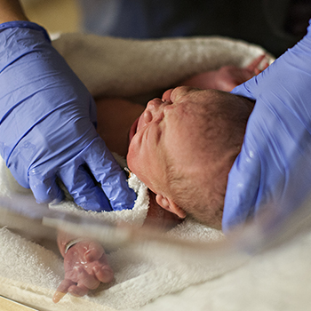 Pemeriksaan Wajib Bayi Baru Lahir