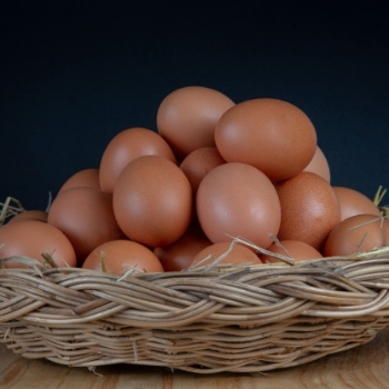 Cara Paling Sehat Masak Telur