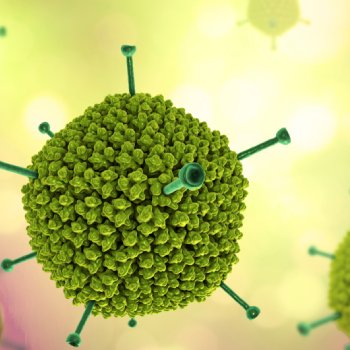 Adenovirus, Virus Penyebab Berbagai Penyakit