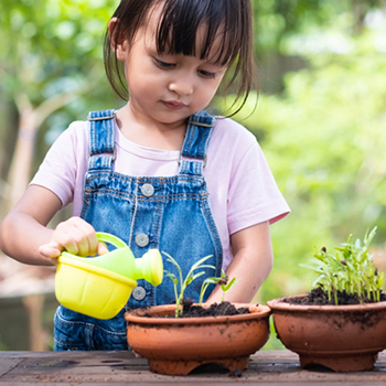 Stimulasi Anak Dengan Berkebun