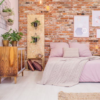 3 Hal yang Harus Dipikirkan Sebelum Menghias Ruangan dengan Tanaman Indoor