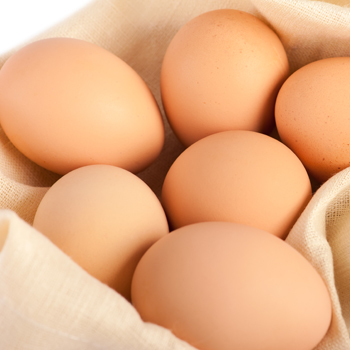 Faktor Penting yang Memengaruhi Kualitas Sel Telur