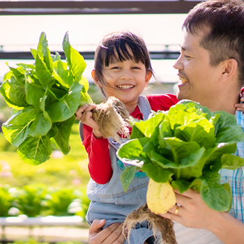 Keluarga Modern, Organic Parenting