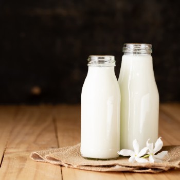 Mengapa Susu Sapi A2 Lebih Sehat? 