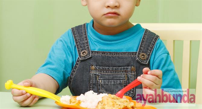 Anak Menolak Makan Nasi Anak Menolak Makan Nasi