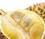Ibu Hamil Boleh Makan Durian 